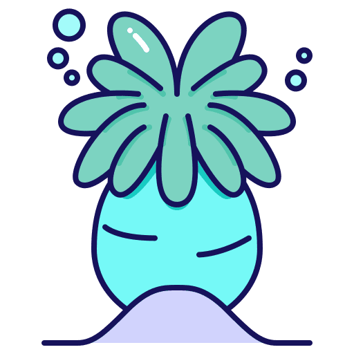 Anemone sea anemone sea life anemone icon Anemone sea anemone sea life anemone icon