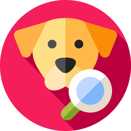 Magnifier searching dog pet icon