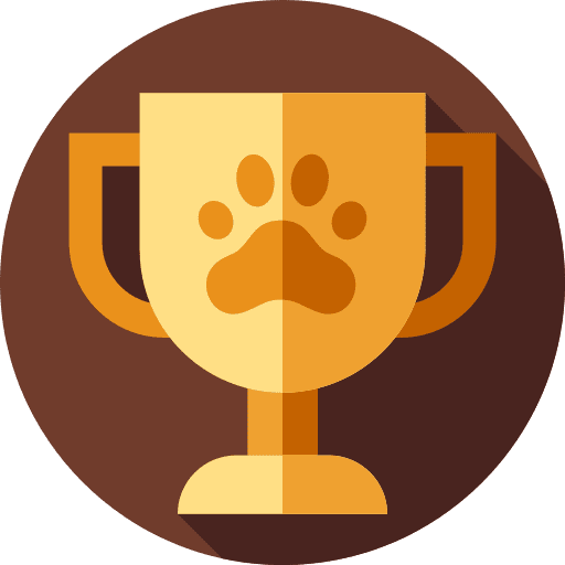 Trophy medal trophy cup icon