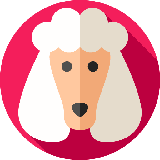 Dog pet breed mammal icon Dog pet breed mammal icon