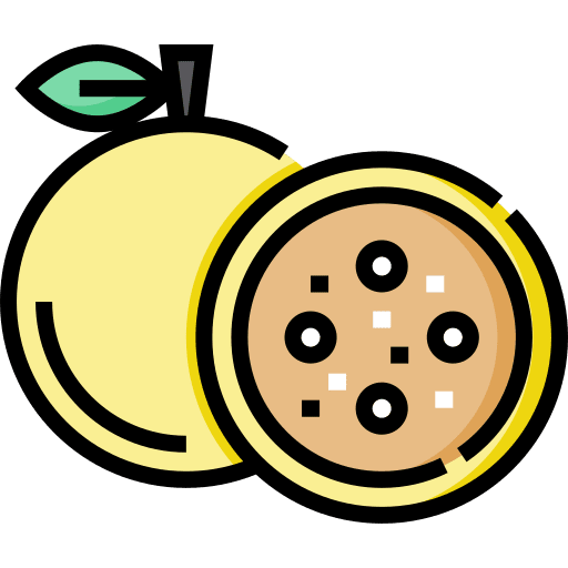 Passion fruit organic vegetarian vegan icon