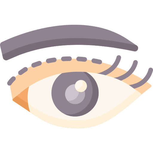 Eyelid beauty eye eyelid icon Eyelid beauty eye eyelid icon