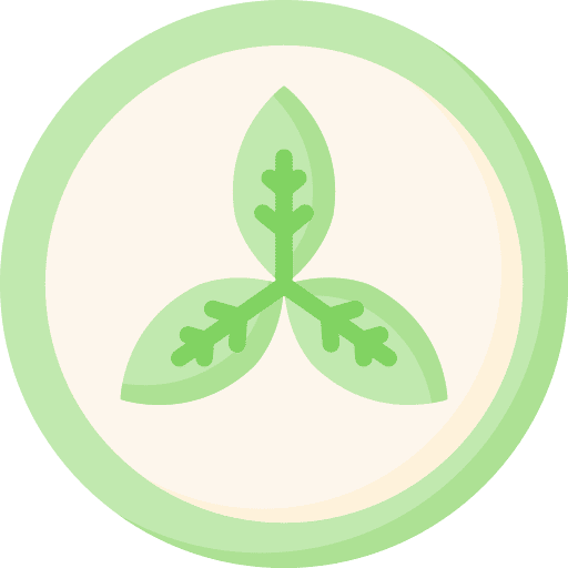 Organic eco friendly organic product ecology and environment icon Organic eco friendly organic product ecology and environment icon