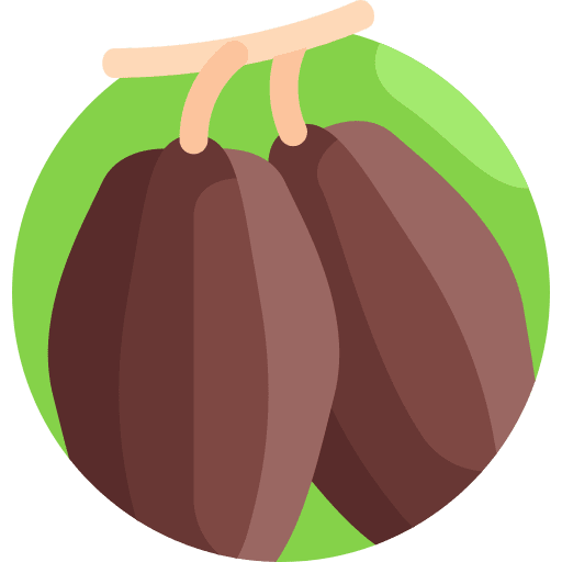 Cocoa food and restaurant healthy food nature icon