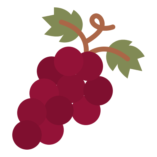 Grape fruit winery food icon