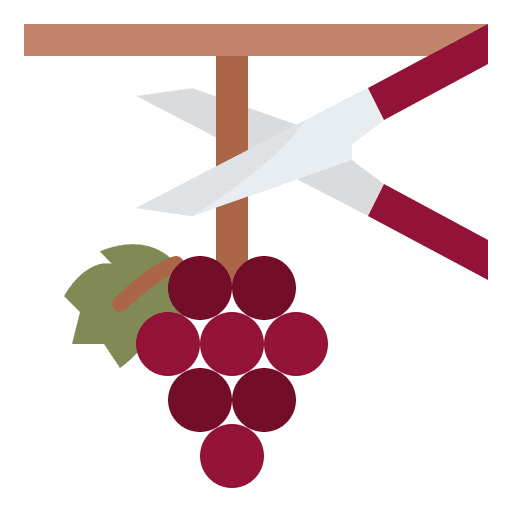 Harvesting harvesting grapes vine icon Harvesting harvesting grapes vine icon