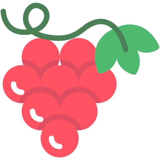 Grapes organic grape healthy food icon