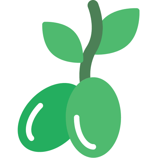 Olives olive tree leaf branch icon