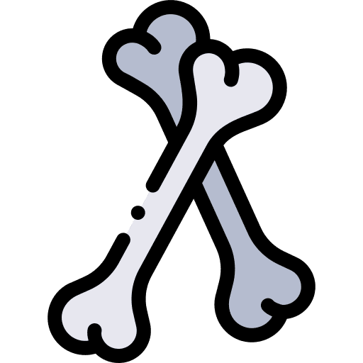 Bones ancient animals dinosaur icon