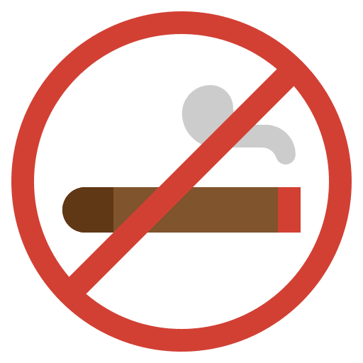 No cigar healthy lifestyle prohibition no cigar icon