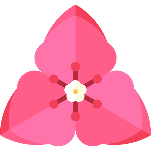 Bougainvillea botanical farming and gardening bougainvillea icon