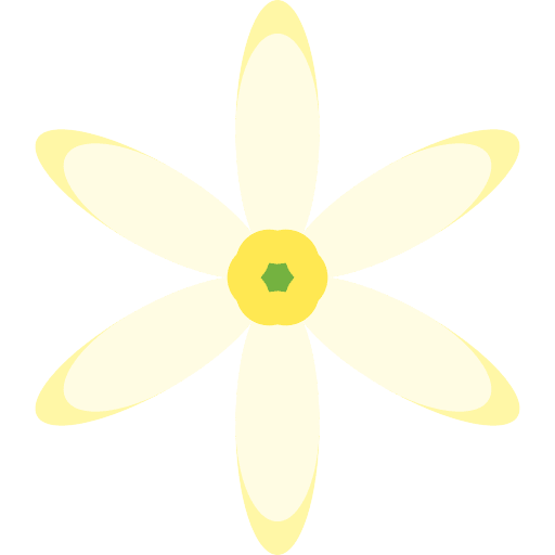 Jasmine flower blossom jasmine icon Jasmine flower blossom jasmine icon