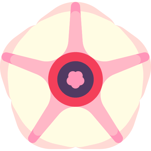 Ipomoea batatas flower blossom gardening icon Ipomoea batatas flower blossom gardening icon