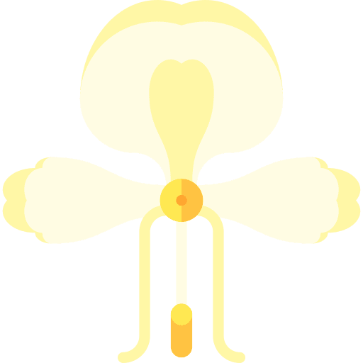 Lily lily gardening botanical icon Lily lily gardening botanical icon