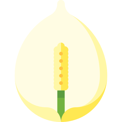 Peace lily farming and gardening gardening nature icon Peace lily farming and gardening gardening nature icon