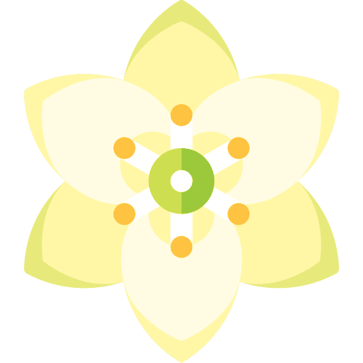 Yucca flower farming and gardening yucca icon Yucca flower farming and gardening yucca icon