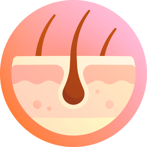 Hair follicle skin dermathology icon