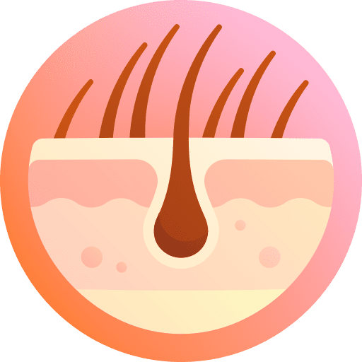 Hypertrichosis hypertrichosis hair dermis icon