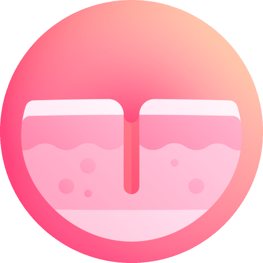 Fissure dermathology beauty healthcare and medical icon Fissure dermathology beauty healthcare and medical icon