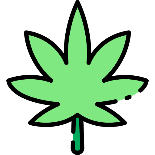 Cannabis nature botanical drug icon Cannabis nature botanical drug icon