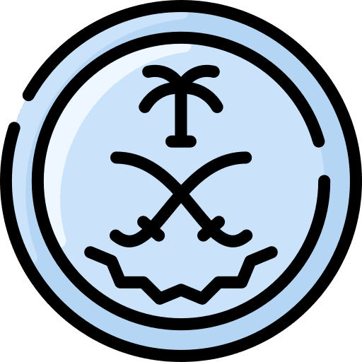 Coin currency banking money icon