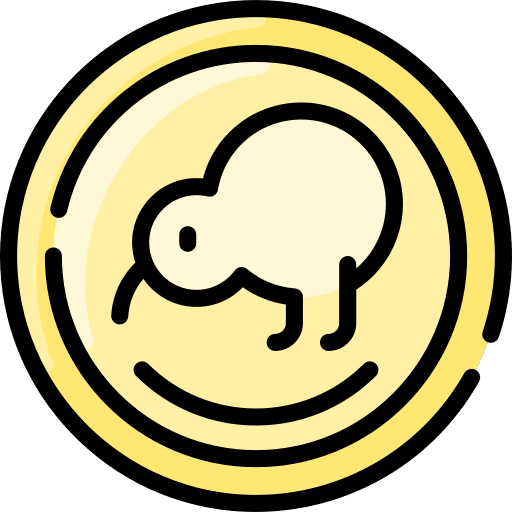 Coin currency cash coin icon