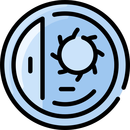 Coin money american coin icon