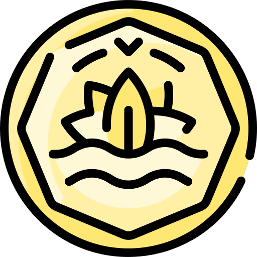 Coin cash currency asian icon
