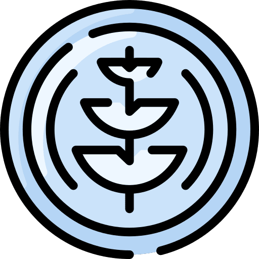 Coin banking coin cash icon