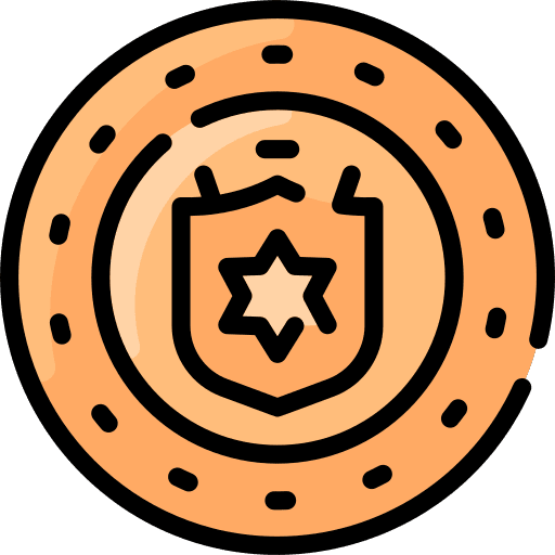 Coin cash coin money icon