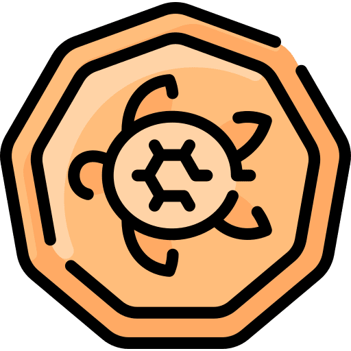 Coin coin old oceania icon