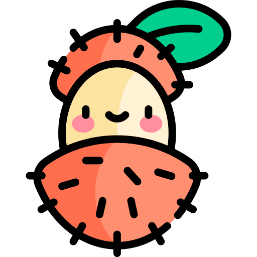 Rambutan vegetarian rambutan fruit icon Rambutan vegetarian rambutan fruit icon