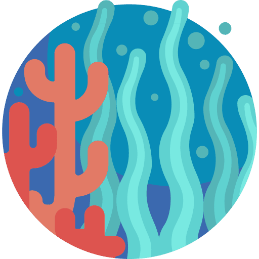 Coral coral coral reef nature icon
