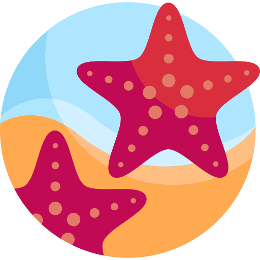 Starfish shine life fivepointed icon Starfish shine life fivepointed icon