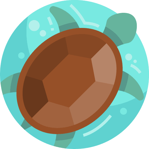 Turtle animal turtles animals icon Turtle animal turtles animals icon