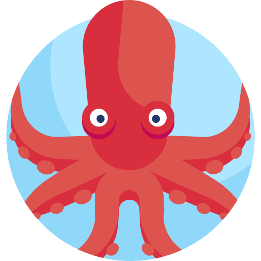 Octopus nature octopus animal kingdom icon Octopus nature octopus animal kingdom icon