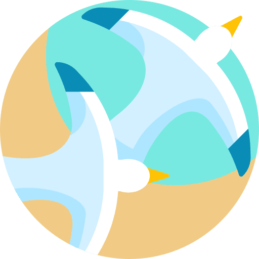 Seagull nature feather fly icon Seagull nature feather fly icon