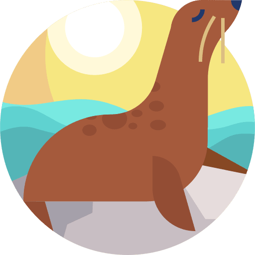 Seal fauna monk seal seal icon Seal fauna monk seal seal icon