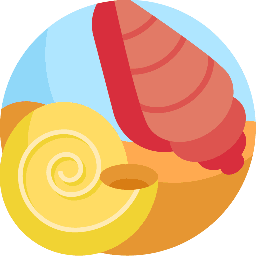 Shell animals shell nature icon Shell animals shell nature icon