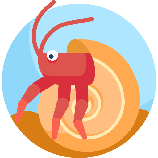 Shrimp shellfish prawn shrimp icon Shrimp shellfish prawn shrimp icon