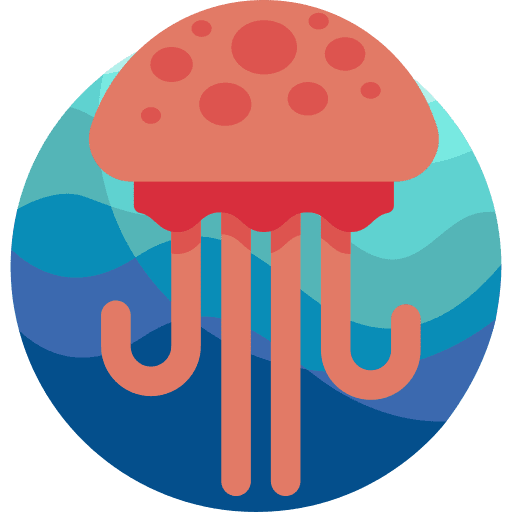 Jellyfish sea aquarium sea life icon Jellyfish sea aquarium sea life icon