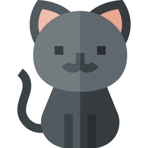 Black cat feline animal black cat icon