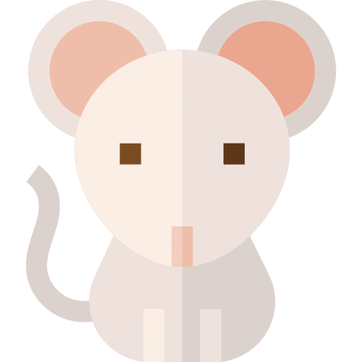 Rat animal animal kingdom wildlife icon