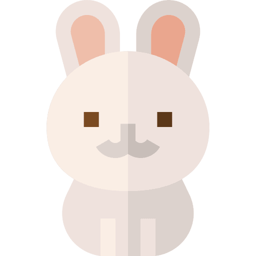 Rabbit rabbit bunny animals icon Rabbit rabbit bunny animals icon