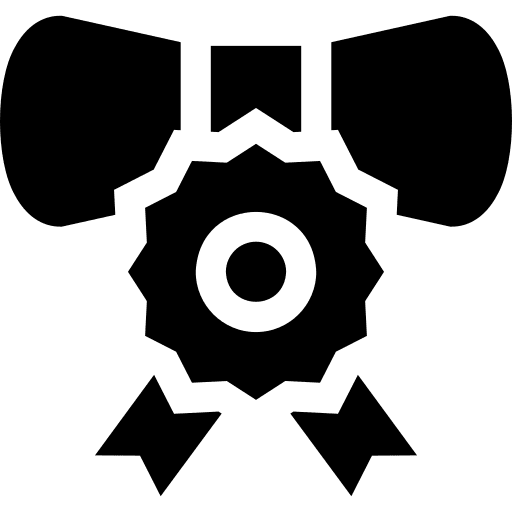 Diploma standards interface certificate icon