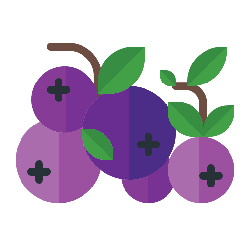 Blueberry grape food and restaurant blueberry icon