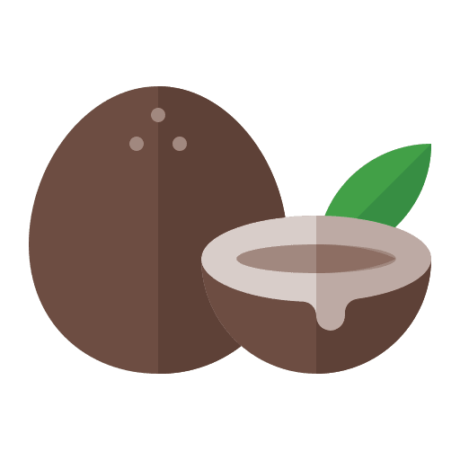 Coconut organic vegetarian healthy icon