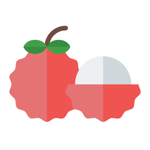 Lychee organic diet healthy food icon