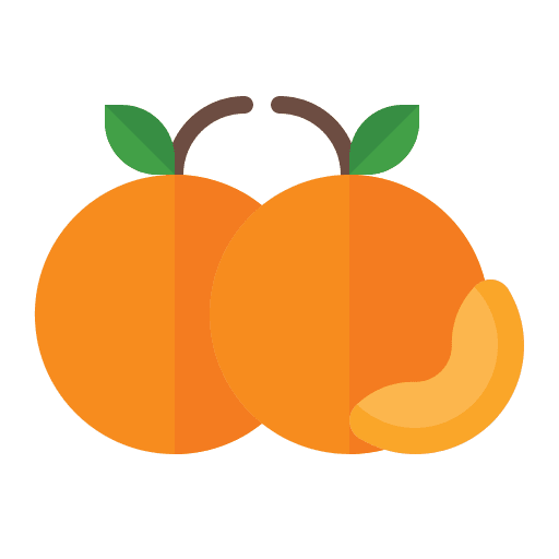 Mandarin fruit healthy food vegetarian icon