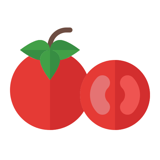 Tomato fruit organic vegetarian icon